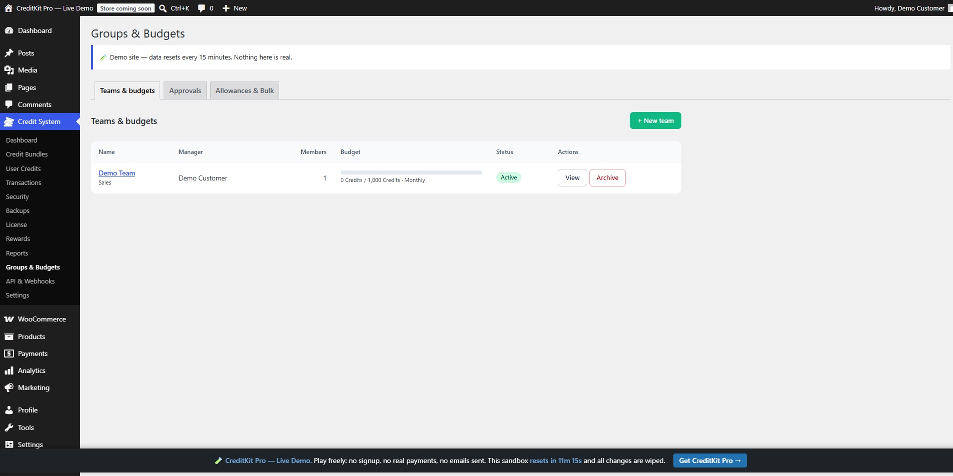 CreditKit Pro Groups & Budgets — a sales team with a 1,000-credit monthly prepaid budget and per-transaction approval